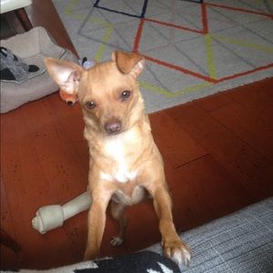 Meet your Posher, Kali