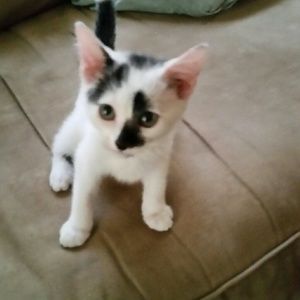 Meet your Posher, Angela