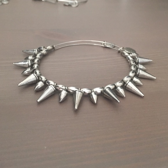 Alex and Ani Jewelry - Alex and Ani bracket