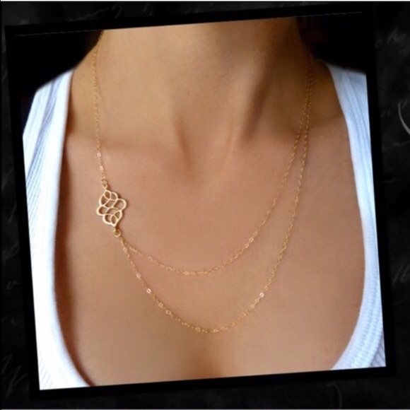 Jewelry - Beautiful double layer necklace