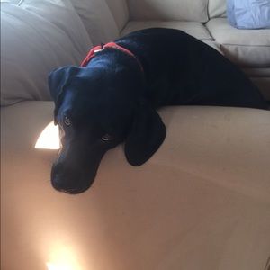 Meet your Posher, Christine