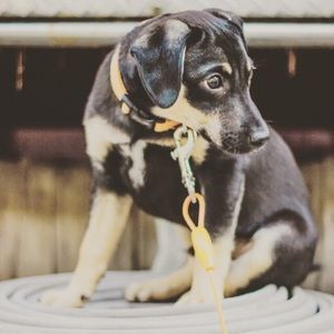 Meet your Posher, Caitlin