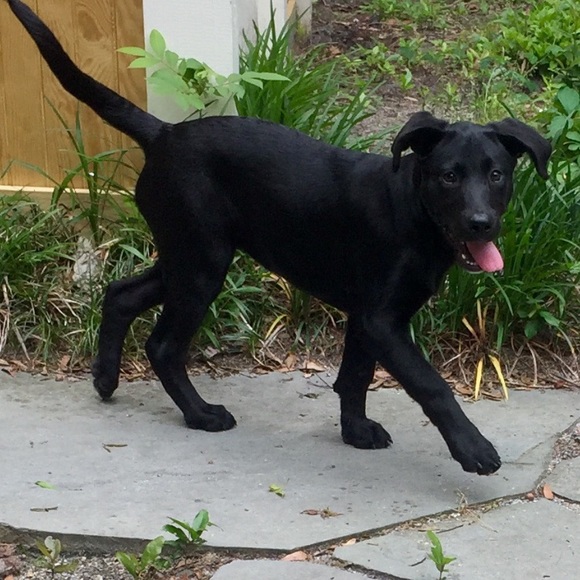 Meet your Posher/ My Closet Stats 2,500+ sales - Picture 6 of 8