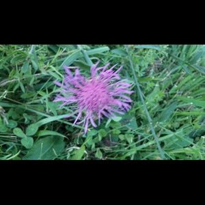 Meet your Posher, Anabel