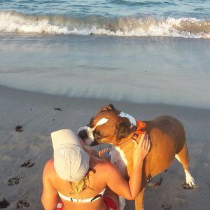 Meet your Posher, Alli