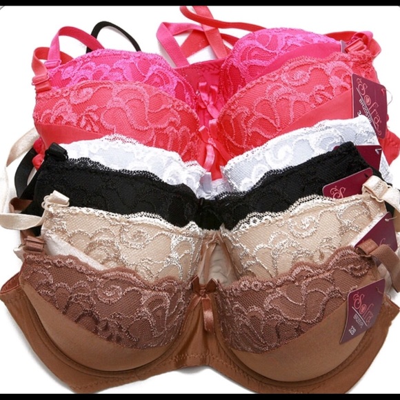 Sofra Accessories - 6 assorted Bra's 36C Nwt