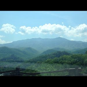 Meet your Posher, Liz