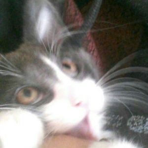 Meet your Posher, Kat