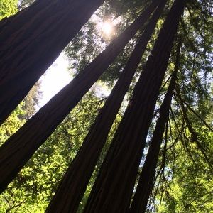 Meet your Posher, Carina