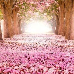 Meet your Posher, Jann