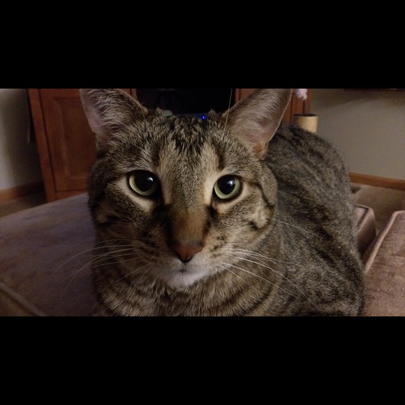 My Mickey, My Micks!! - Picture 2 of 4