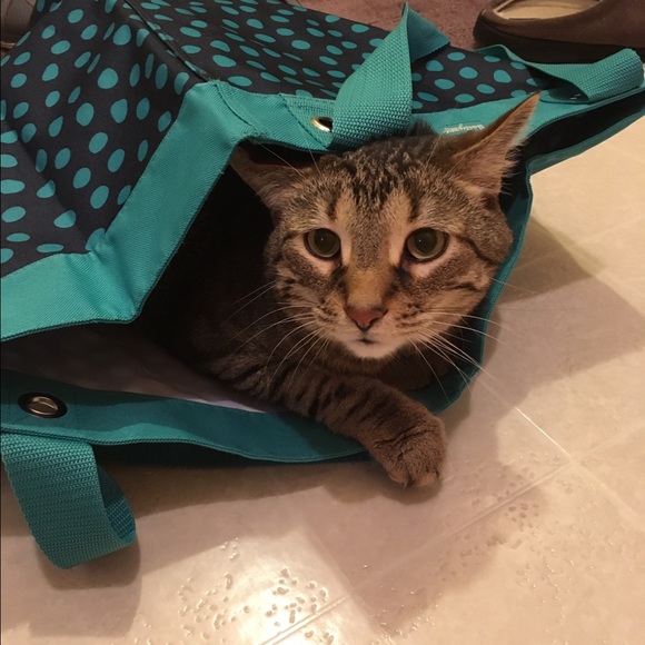 My Mickey, My Micks!! - Picture 3 of 4