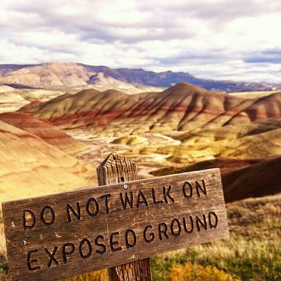 Meet your Posher, Jessica - Picture 2 of 8