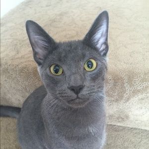 Meet your Posher, Lilia
