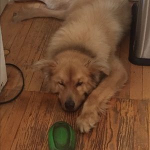 Meet your Posher, Monica