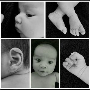 Meet your Posher, Jozann