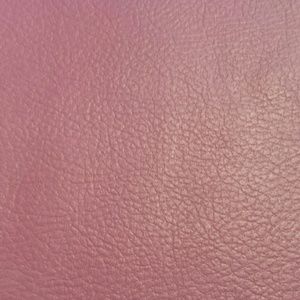 Meet your Posher, Bailey