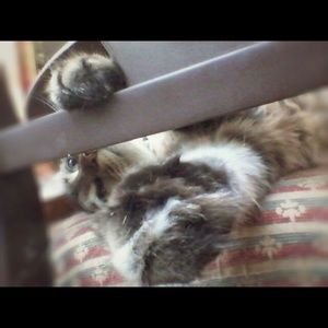 Meet your Posher, Becky