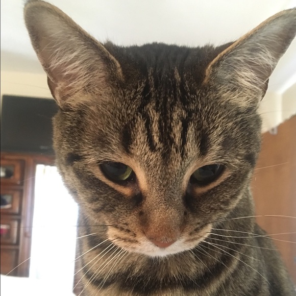 Meet your Posher, Frances - Picture 2 of 2