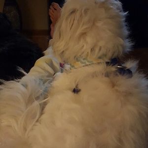 Meet your Posher, Brittany