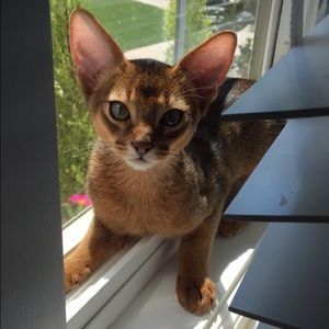 Meet your Posher, Maddy