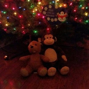 Meet your Posher, Kymber