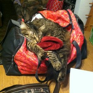 Meet your Posher, April