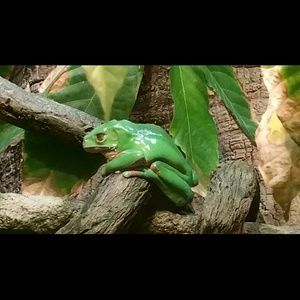 Meet your Posher, Whitney