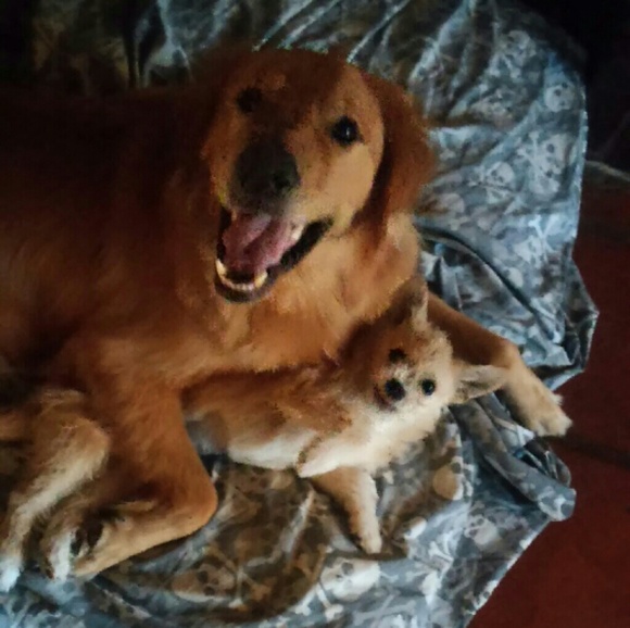 Meet your Posher, Robin - Picture 4 of 4