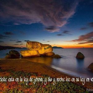 Meet your Posher, Estefany