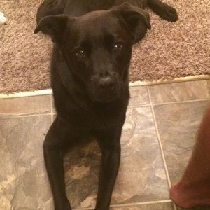 Meet your Posher, Tyler