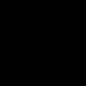 Meet your Posher, Kiera