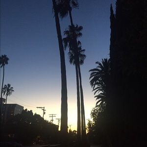 Meet your Posher, Ann