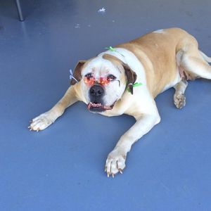 Meet your Posher, Lori