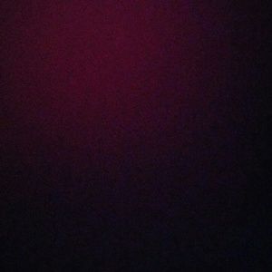 Meet your Posher, Bridgett