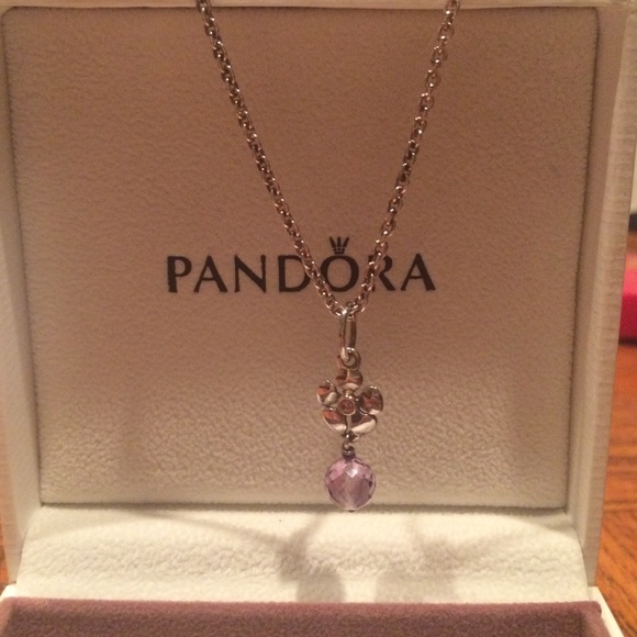 Pandora Necklace