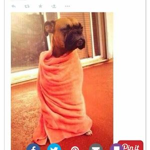 Meet your Posher, Gabrielle