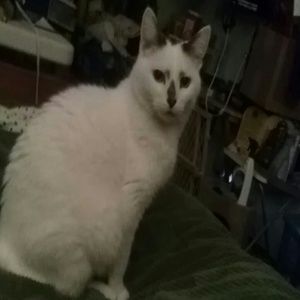 Meet your Posher, Donna