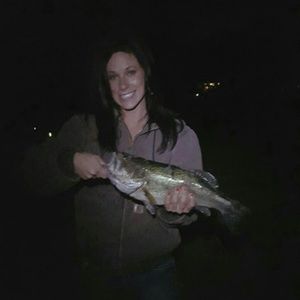 Meet your Posher, Lisa-anne