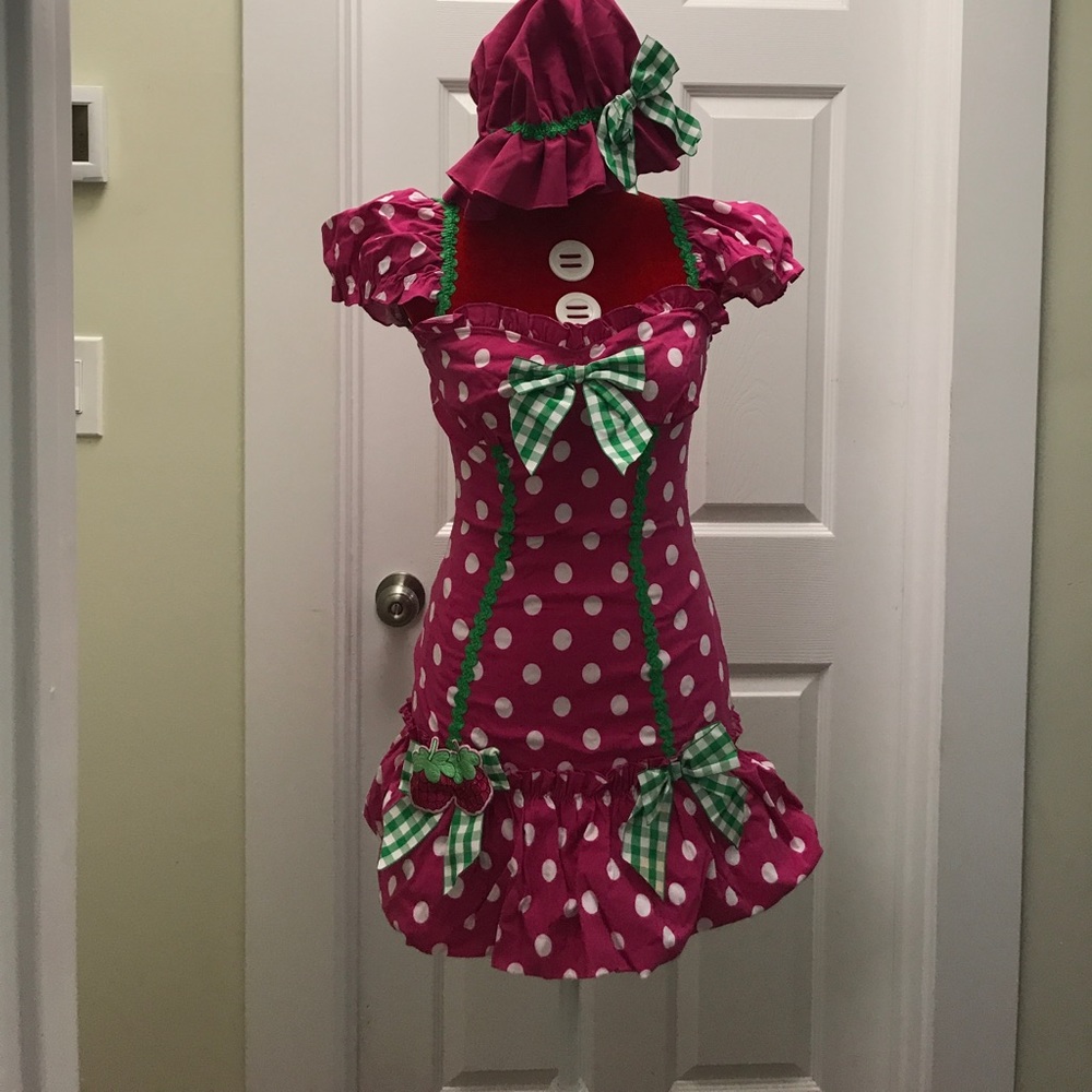 Halloween Costume  ( Raspberry  Adult Costume )
