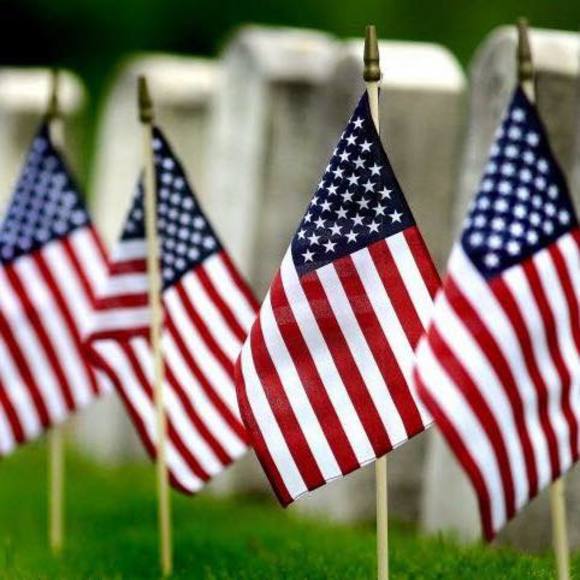 Meet your Posher, Michelle - Picture 1 of 1