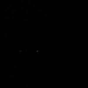 Meet your Posher, Corryn