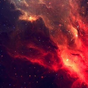 Meet your Posher, Regina