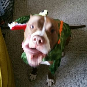 Meet your Posher, Chelsea