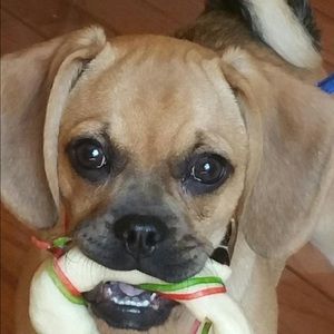 Meet your Posher, Sara