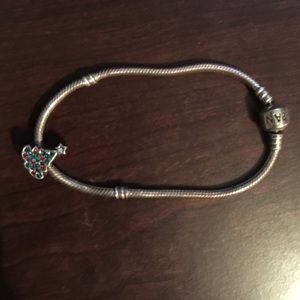 Pandora Charm Bracelet