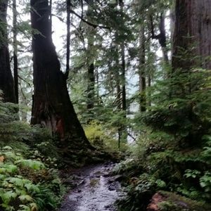 Meet your Posher, Bethany