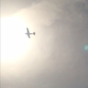 Meet your Posher, Molly