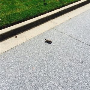 Meet your Posher, Jay