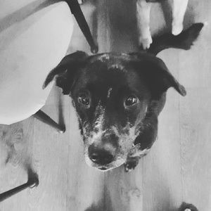 Meet your Posher, Sophia